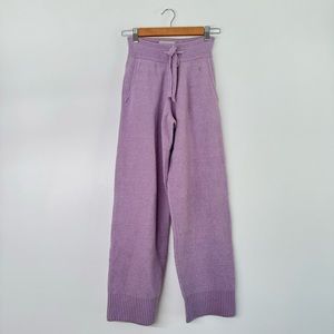 Everlane Wool Yak Nylon Blend Sweatpants Purple